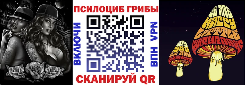 Псилоцибиновые грибы GOLDEN TEACHER  Купить где  Старый Оскол 